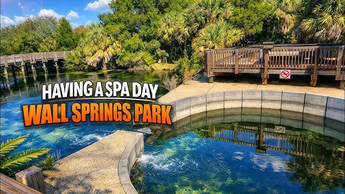 Wall Springs Park Palm Harbor