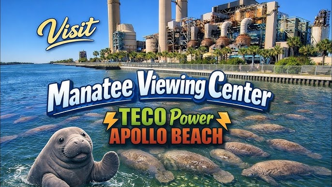 Manatee Viewing Center